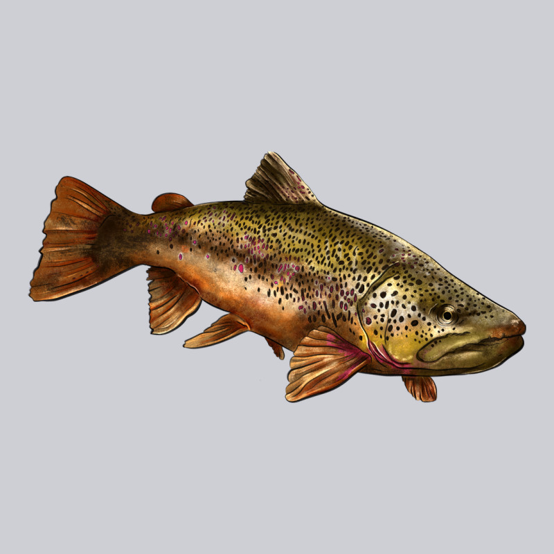 Brown Trout Heavyweight Sweatshirt by LillyAllenDesigns | Teevron