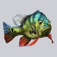 Peacock Bass Illustrations Heavyweight Sweatshirt | Teevron