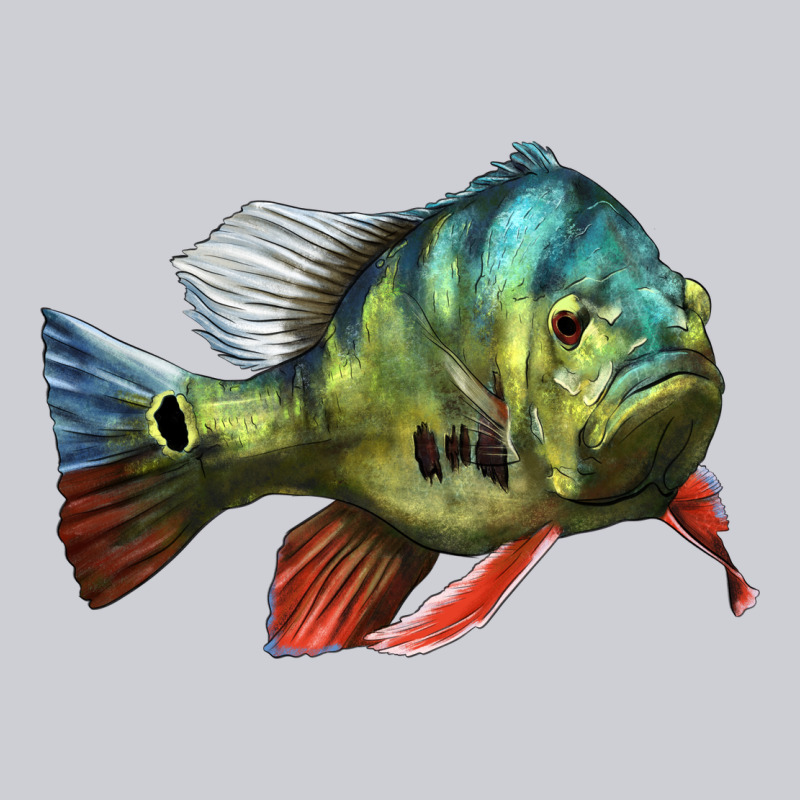 Peacock Bass Illustrations Heavyweight Sweatshirt by LillyAllenDesigns | Teevron