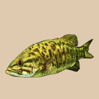 Smallmouth Bass Fish Illustrations Heavyweight Sweatshirt | Teevron