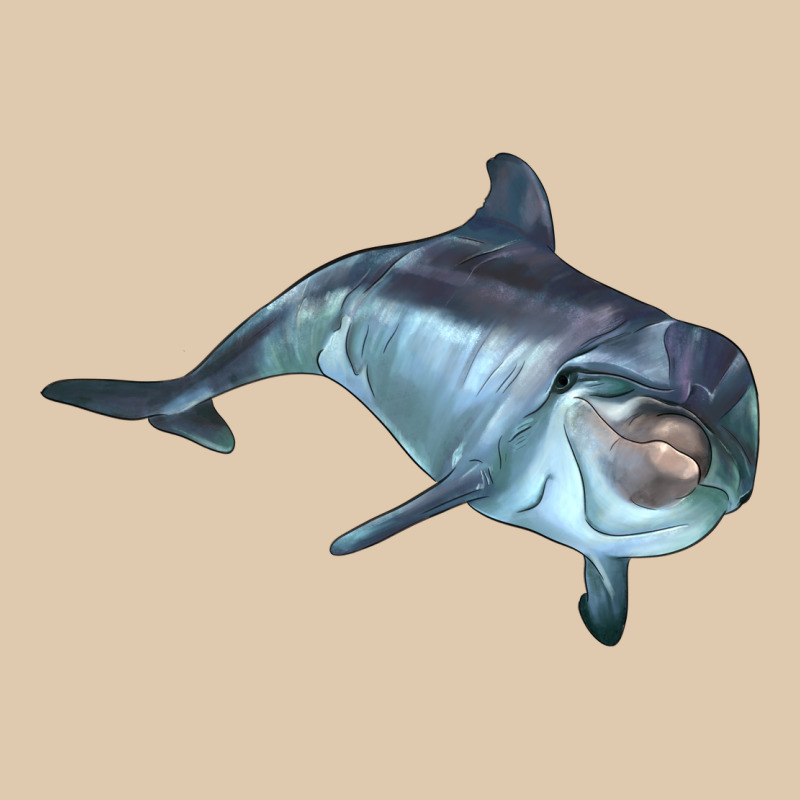 Bottlenose Dolphin Heavyweight Sweatshirt by LillyAllenDesigns | Teevron