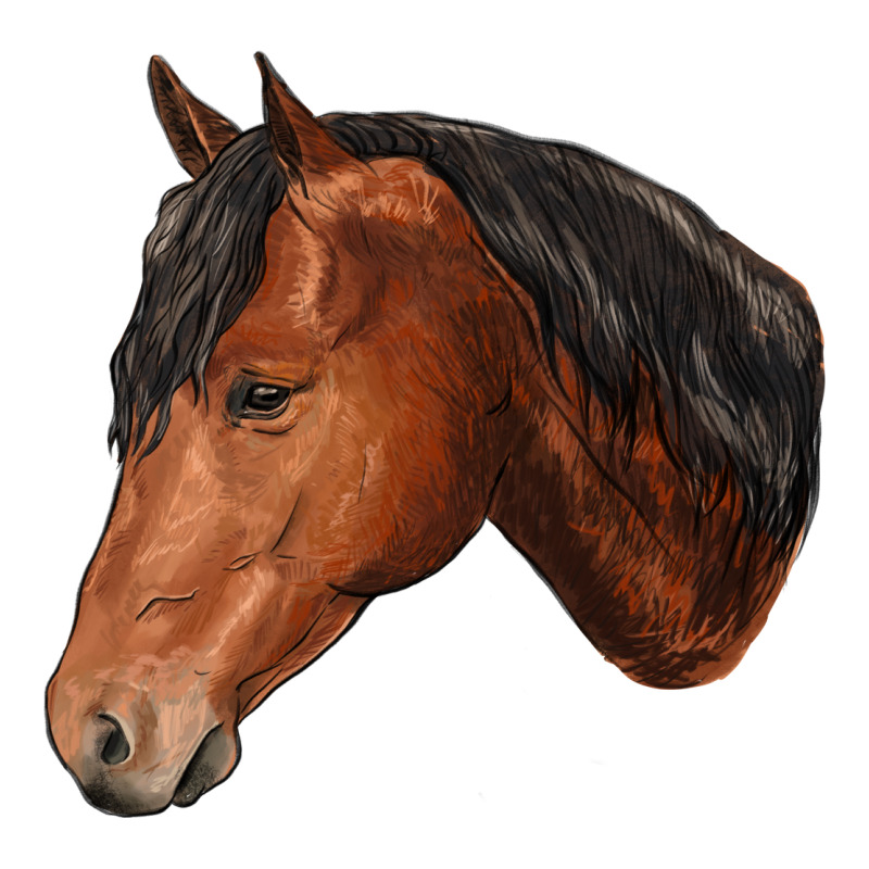 Horse Premium Tee by RanaPortraitStore | Teevron