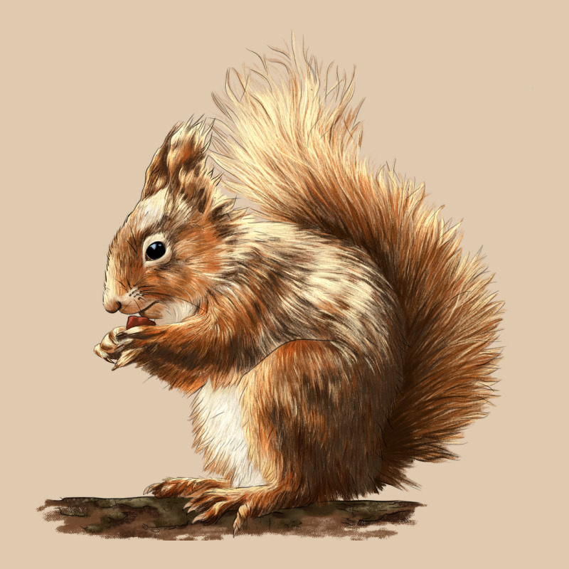 Squirrels Heavyweight Sweatshirt by LillyAllenDesigns | Teevron