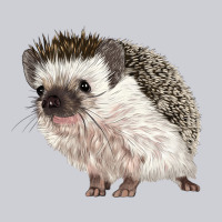 Hedgehog Illustrations Heavyweight Sweatshirt | Teevron
