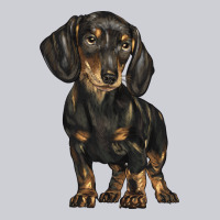 Dachshund Heavyweight Sweatshirt | Teevron