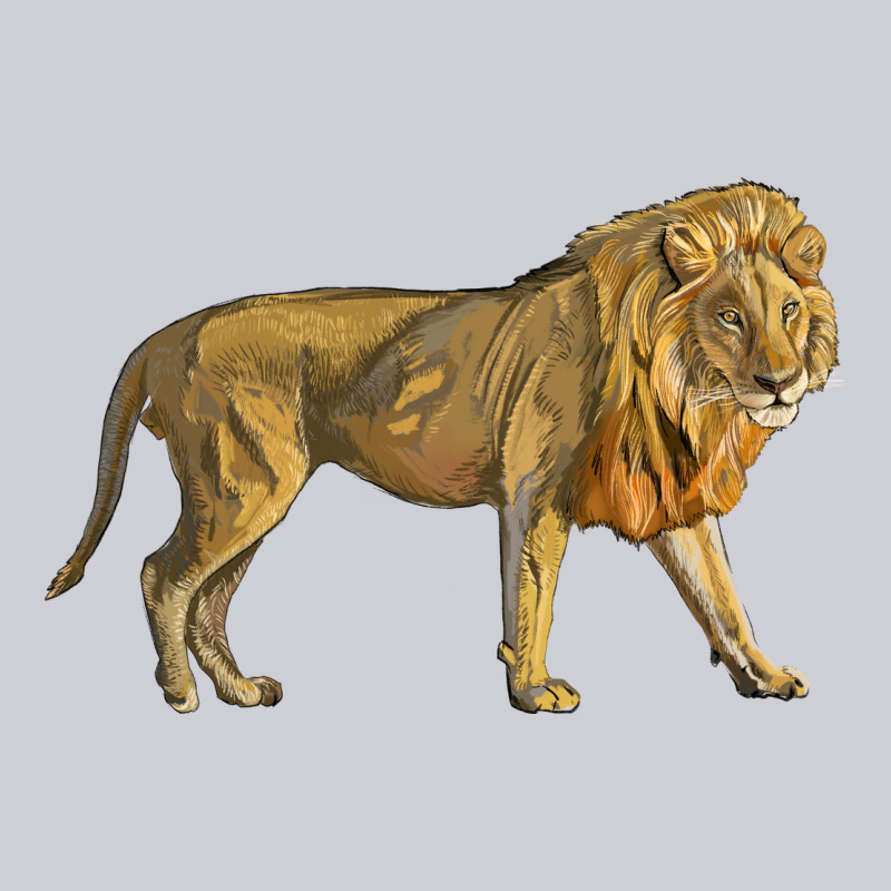 Lion Heavyweight Sweatshirt by LillyAllenDesigns | Teevron