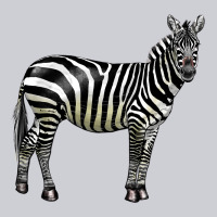 Zebra Heavyweight Sweatshirt | Teevron