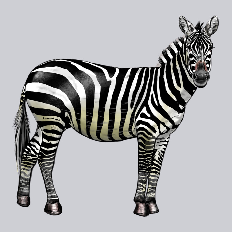 Zebra Heavyweight Sweatshirt by LillyAllenDesigns | Teevron