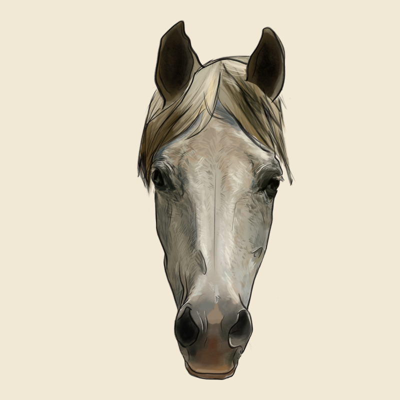 Horse Head Premium Tee by RanaPortraitStore | Teevron