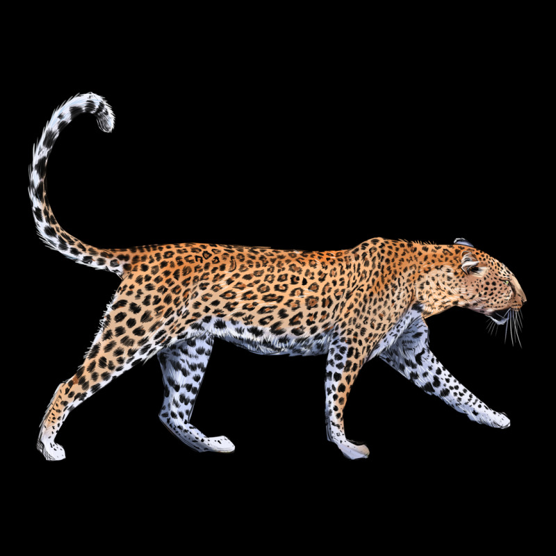 Leopard Heavyweight Sweatshirt by LillyAllenDesigns | Teevron