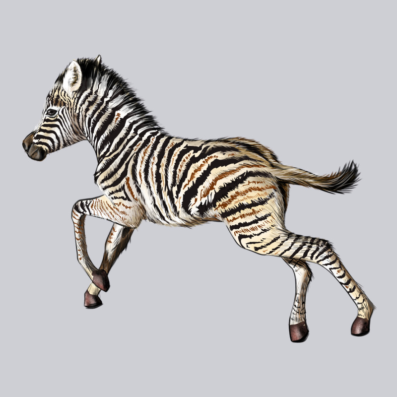 Baby Zebra Heavyweight Sweatshirt by LillyAllenDesigns | Teevron