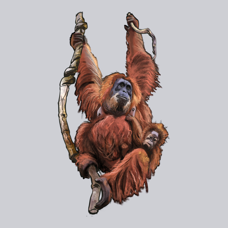 Orangutan And Baby Heavyweight Sweatshirt by LillyAllenDesigns | Teevron