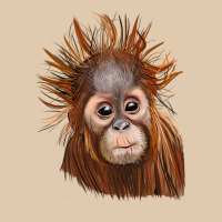 Baby Orangutan Heavyweight Sweatshirt | Teevron
