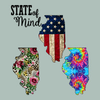 Im In A Fishing State Of Mind Illinois Heavyweight Hoodie | Teevron