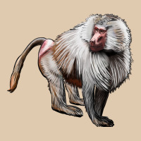 Baboon Heavyweight Sweatshirt | Teevron