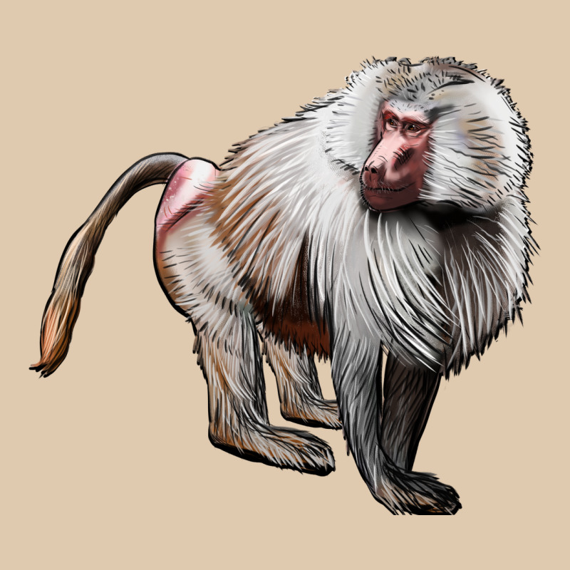 Baboon Heavyweight Sweatshirt by LillyAllenDesigns | Teevron