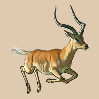 Impala Antelope Illustrations Heavyweight Sweatshirt | Teevron