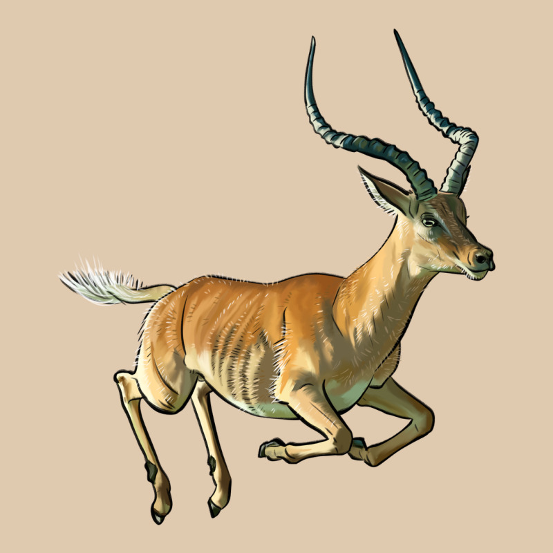 Impala Antelope Illustrations Heavyweight Sweatshirt by LillyAllenDesigns | Teevron