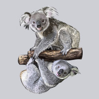 Koala Heavyweight Sweatshirt | Teevron