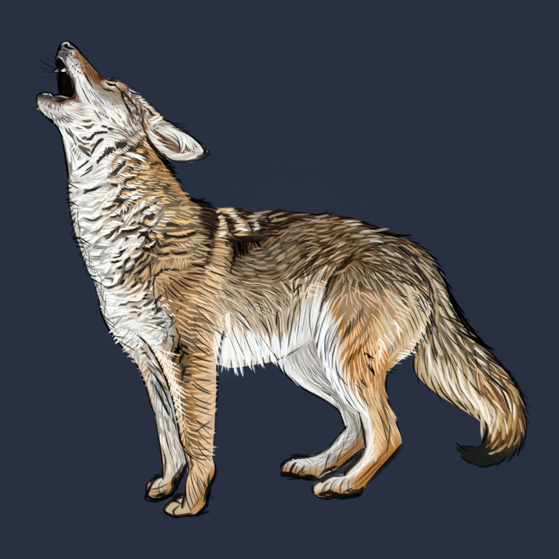 Howling Coyote Heavyweight Sweatshirt by LillyAllenDesigns | Teevron
