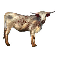 Texas Longhorn Heifer | Teevron