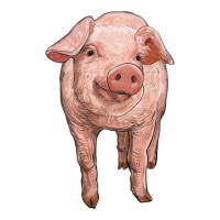 pig | Teevron