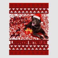 Merry Christmas Labrador Retriever Premium Sweatshirt | Teevron