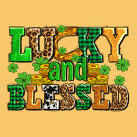 Lucky And Blessed With Coins And Shamrocks Vintage Hoodie | Teevron