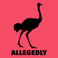 Allegedly Funny Ostrich Premium Sweatshirt | Teevron