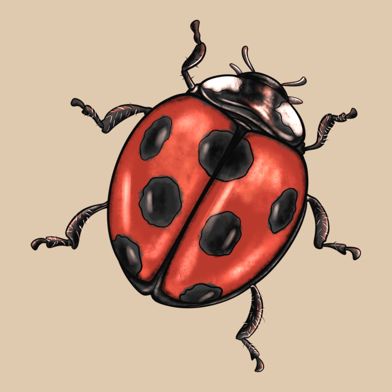 Ladybug Heavyweight Sweatshirt by BarkalooDesign | Teevron