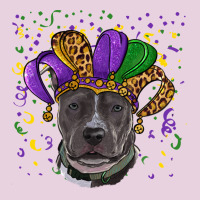 Mardi Gras Pitbull Ladies Tee | Teevron