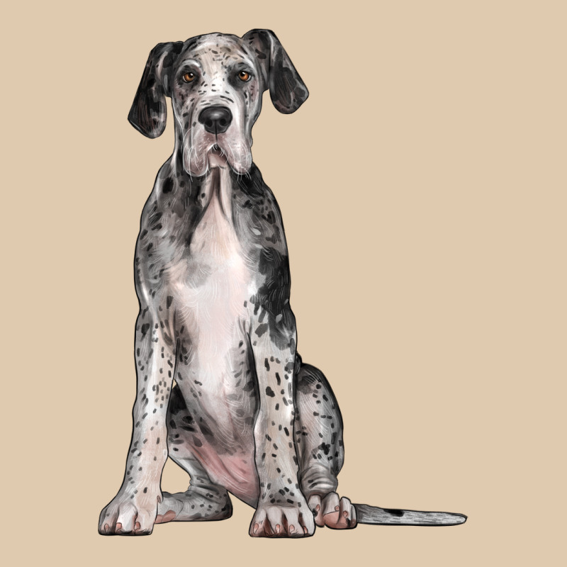 Great Dane Dog Heavyweight Sweatshirt by LillyAllenDesigns | Teevron