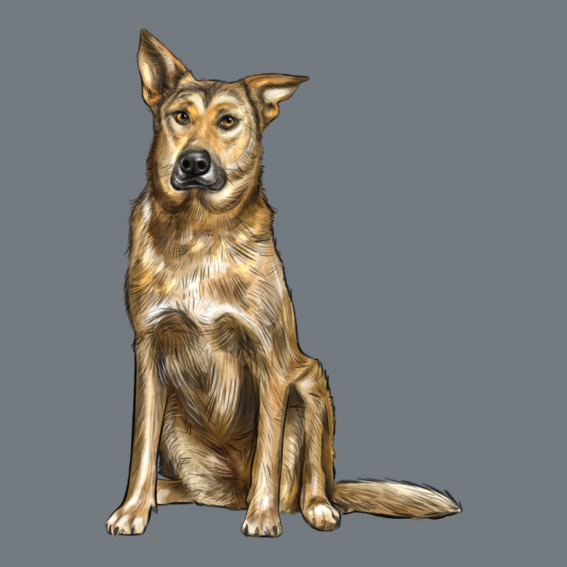 Chinook Dog Heavyweight Sweatshirt by LillyAllenDesigns | Teevron