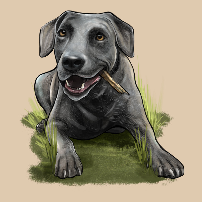 Texas Blue Lacy Dog Heavyweight Sweatshirt by LillyAllenDesigns | Teevron