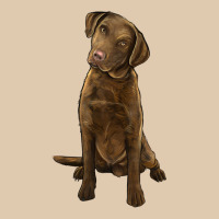 Chesapeake Bay Retriever Heavyweight Sweatshirt | Teevron