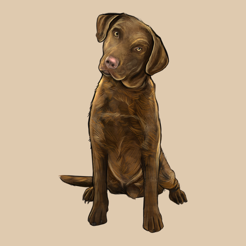Chesapeake Bay Retriever Heavyweight Sweatshirt by LillyAllenDesigns | Teevron
