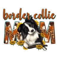western border collie mom | Teevron