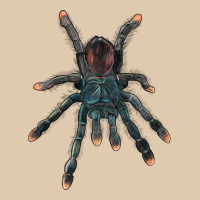 Pink Toe Tarantula Heavyweight Sweatshirt | Teevron