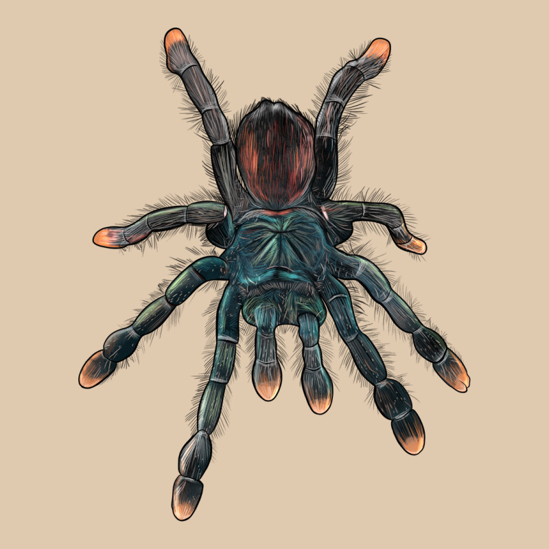 Pink Toe Tarantula Heavyweight Sweatshirt by LillyAllenDesigns | Teevron