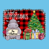 I Want A Hippopotamus Premium Sweatshirt | Teevron