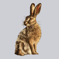 Hares Heavyweight Sweatshirt | Teevron