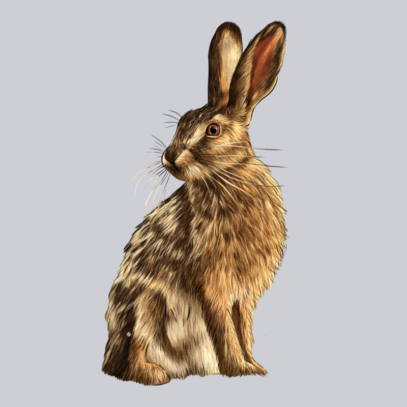 Hares Heavyweight Sweatshirt by LillyAllenDesigns | Teevron