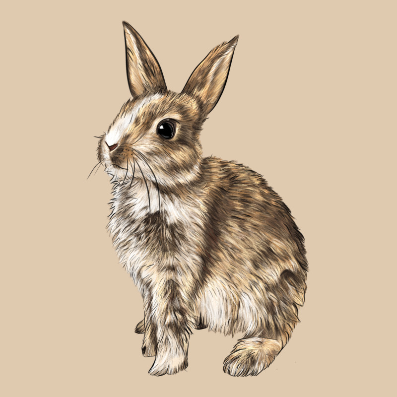 Rabbit Heavyweight Sweatshirt by LillyAllenDesigns | Teevron