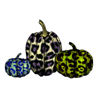 pumpkin | Teevron