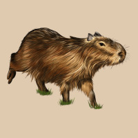 Capybara Heavyweight Sweatshirt | Teevron