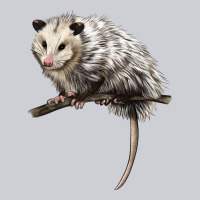 Opossum Heavyweight Sweatshirt | Teevron