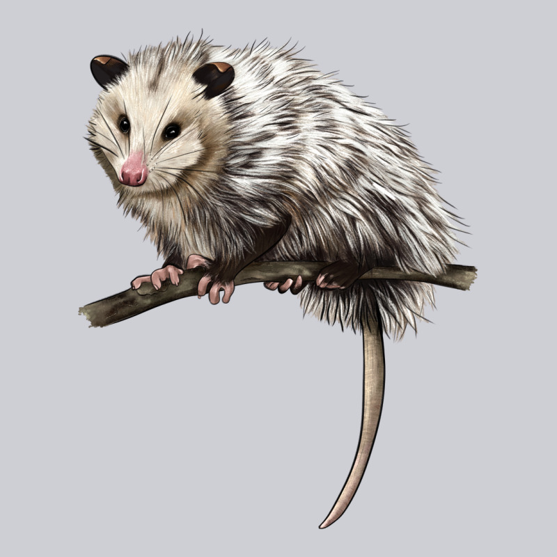 Opossum Heavyweight Sweatshirt by LillyAllenDesigns | Teevron
