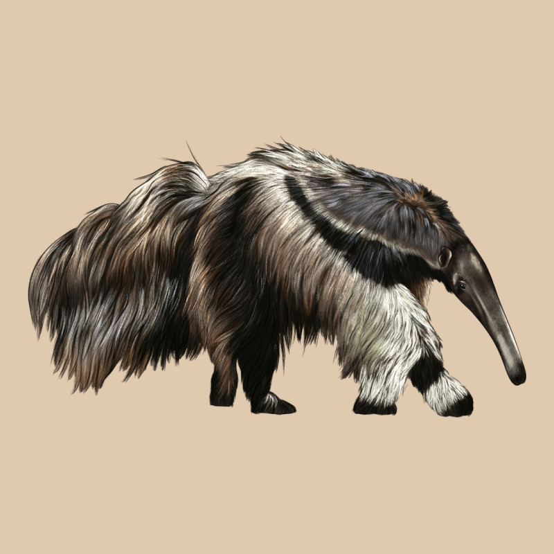 Anteaters Heavyweight Sweatshirt by LillyAllenDesigns | Teevron