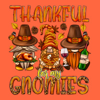 Thankful For My Gnomies Premium Hoodie | Teevron