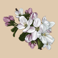 Apple Blossom Heavyweight Sweatshirt | Teevron